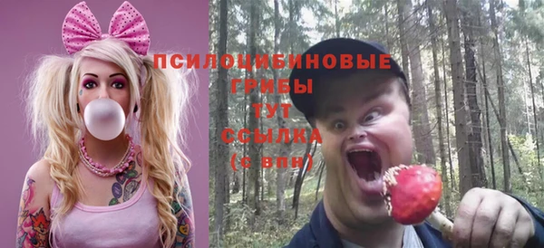 mix Баксан