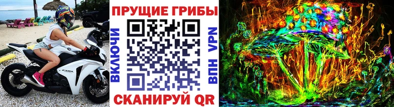 даркнет сайт  Калуга  Галлюциногенные грибы прущие грибы 