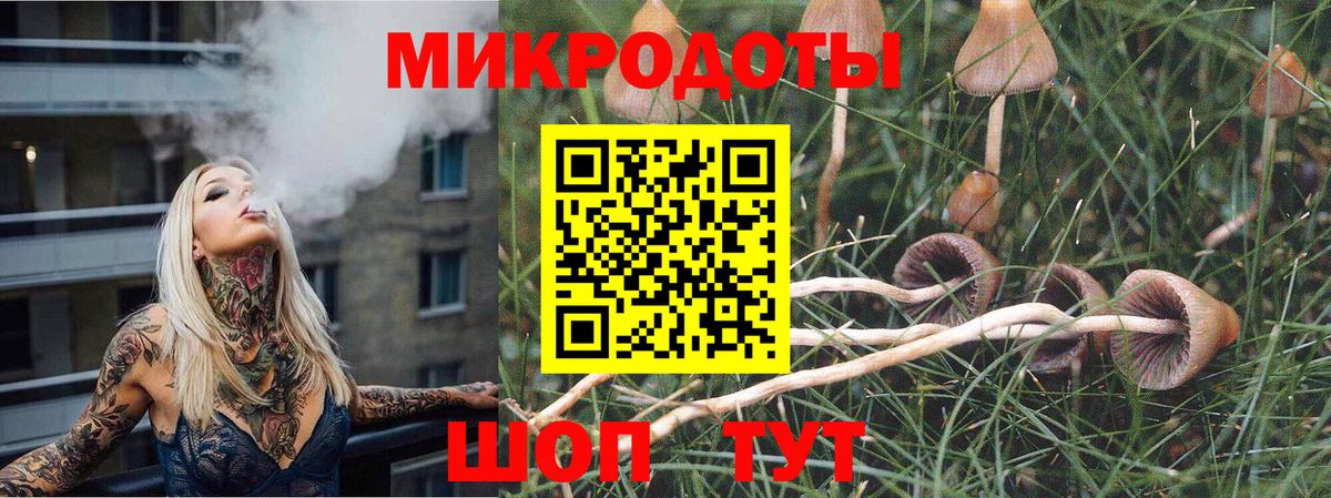 Галлюциногенные грибы Psilocybe Калуга