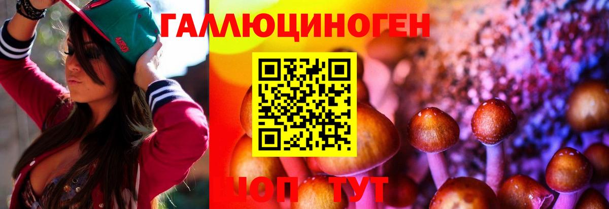 Псилоцибиновые грибы MAGIC MUSHROOMS  Вход с VPN  Калуга 